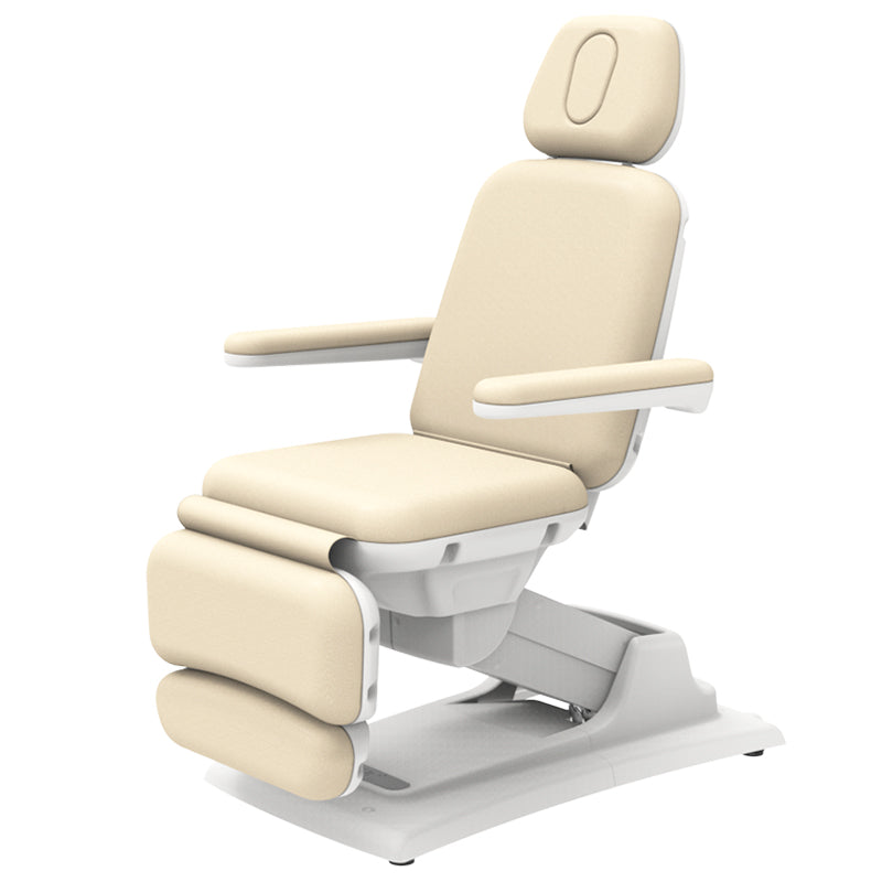 Sonora Electric Bed